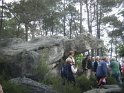 2014-06-05 11-00-10 Foret de Fontainebleau VGa